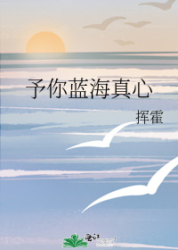 予你蓝海真心TXT