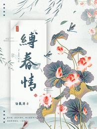 何不同舟渡小说