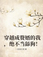 一夜爆红[娱乐圈] 小说