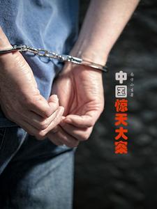 震惊全国十大刑事案件