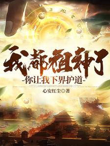 我都祖神了,你让我下界护道境界划分