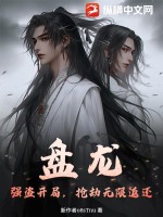 盘龙无错版