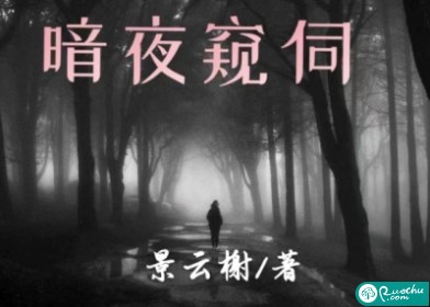 暗夜窥伺