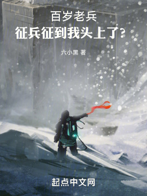 百岁老兵小说