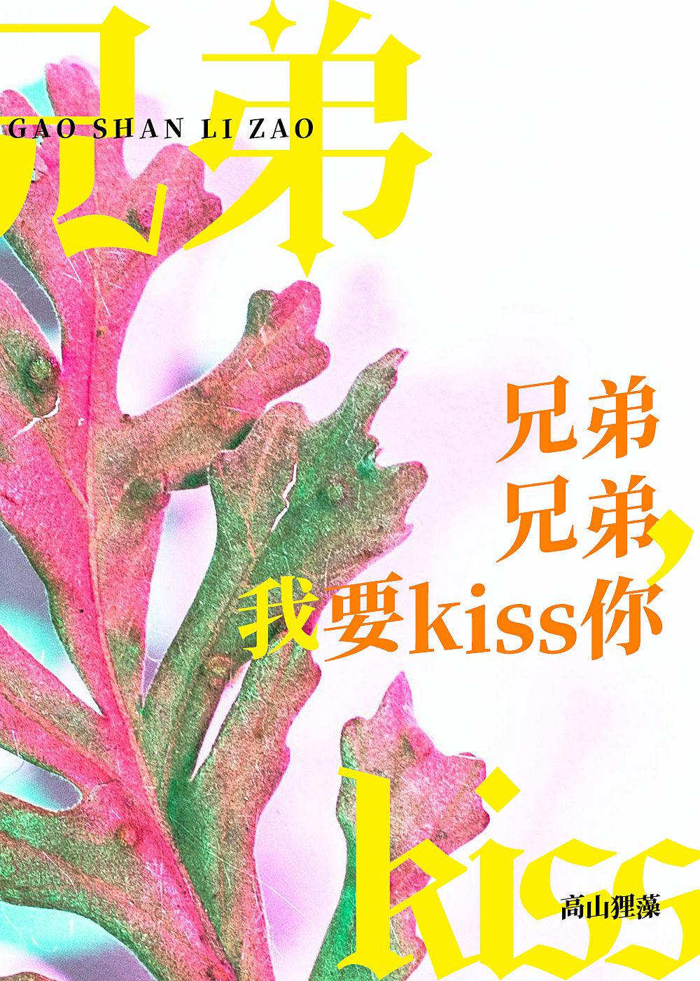 兄弟，兄弟，我要kiss你