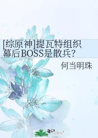 综原神提瓦特组织幕后boss是散兵