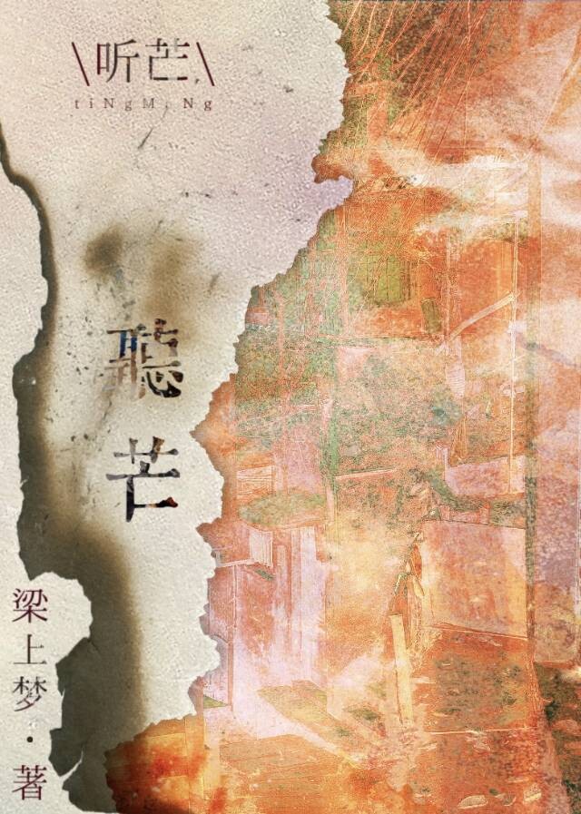 梁上梦小说