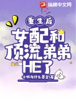 重生后，女配和顶流弟弟HE了