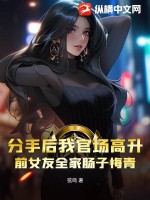 弦鸣乐器是由弦振动发音的乐器与键盘乐器