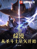 综漫:从圣斗士冥王神话lc开始 小说