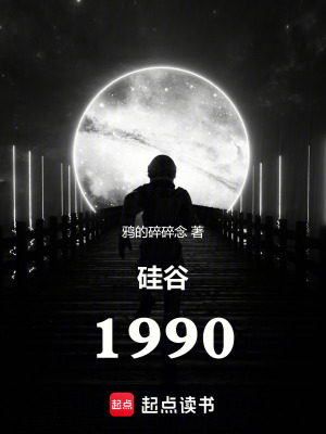 硅谷1990小说