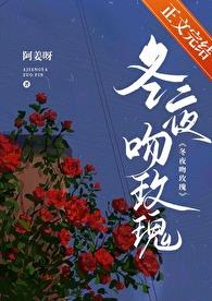 冬夜吻玫瑰讲的什么内容