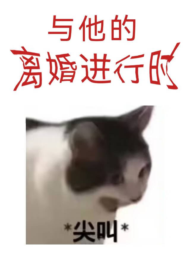 离婚后txt