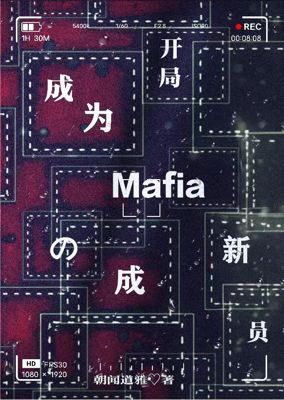 [文野]开局成为Mafia的新成员