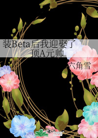 装beta的omega迟早被标记免费阅读