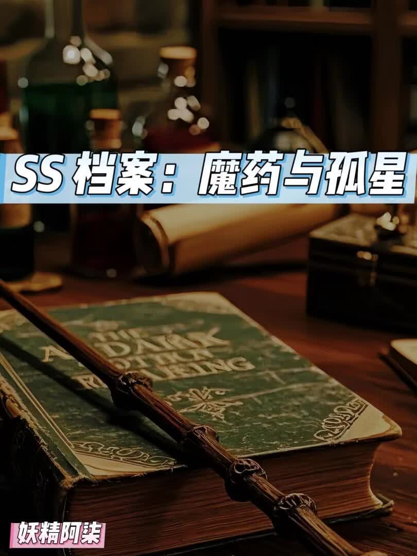 SS档案：魔药与孤星